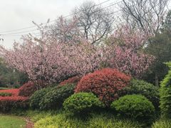 -尚贤河湿地