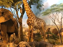 -陕西自然博物馆