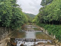 -广州白江湖森林公园