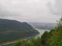 -铁山坪森林公园