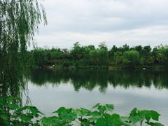 iphone_upload_pic-上海怡沁园度假酒店