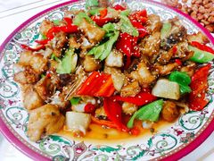 -煲来饱去冷水鱼