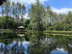 -溱湖国家湿地公园