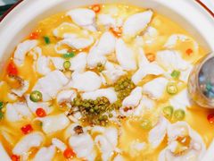 -青花椒花椒鱼(合生汇店)