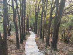 -火炉山森林公园