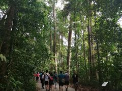 -武吉知马自然保护区