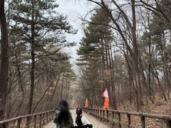 -沈阳辉山风景区