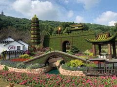 -苏州上方山国家森林公园
