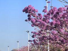 -广州市紫泥堂文化创意园景区