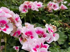 -徐家汇源景区-衡山公园