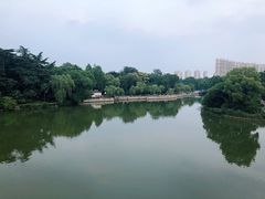 -听松楼-中餐厅.家宴(红梅公园店)