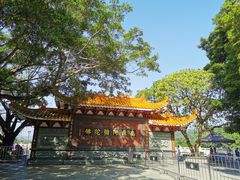 -深圳仙湖植物园