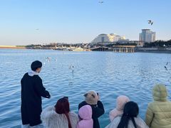 -巧克力渔家.小船海鲜胶东菜(万平口店)