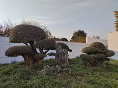 -石家庄市植物园