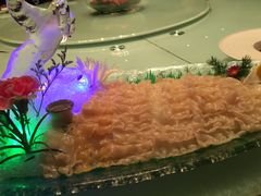-骏莱海鲜鱼港(五角场店)