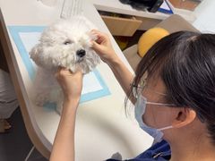 -联合动物医院(光谷诊疗中心)