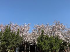 -有喜胶东小馆(太申祥和店)