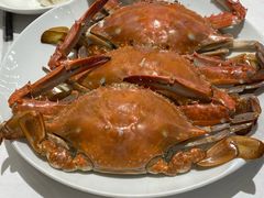 梭子蟹-必点海鲜·海肠捞饭·鲅鱼水饺(滨江道店)