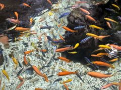 -太平洋海底世界