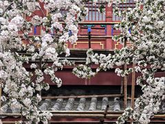 -莲池书院博物馆