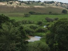 -塞罕坝国家级自然保护区