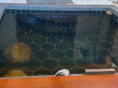 -盘锦红海温泉乐园