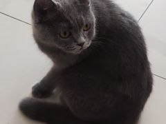 -平行世界·猫咖(首经贸店)
