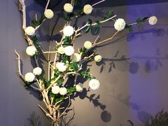 -sugarman espresso素饮糖人高新咖啡工厂