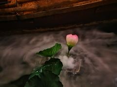 -老船坞水上餐厅(亚洲大酒店  东四十条店)