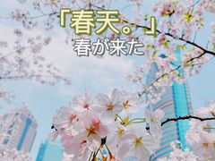 -陆家嘴中心绿地