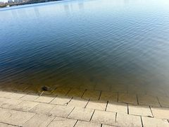 -长春市南湖公园