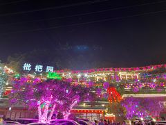 -枇杷园食为鲜火锅(南山店)