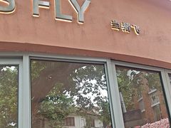 -WHEN PIGS FLY当猪飞