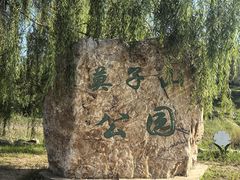 -莫子山公园