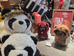 -Peet's Coffee皮爷咖啡(大学路店)