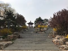 -大兴滨河森林公园