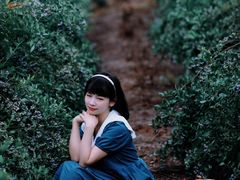 -金谷域澳洲庄园