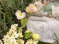 -知物癖(牛王庙店)