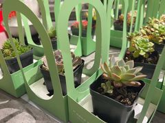 -四季餐厅·新津菜(环湖中路店)