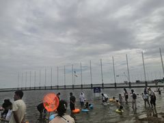 -碧海金沙
