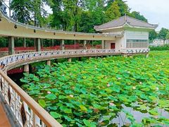 -荔湾湖公园