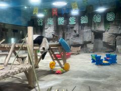 -栾川竹海野生动物园