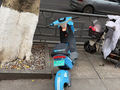 -小豆海棠(人民南路店)