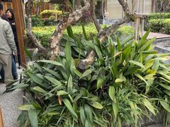 -半山•草庐玖厨(机场路店)