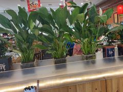 -大清花饺子(山庄店)