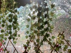 -鹅滋道(甘坑古镇店)