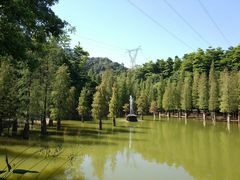 -广州市帽峰山景区
