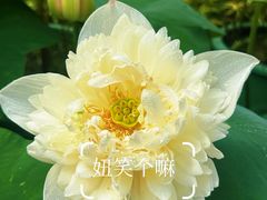 -云溪植物园