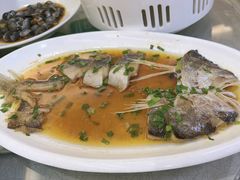 -苏启渔港(云南北路店)