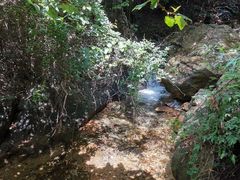 -牛鱼嘴原始生态风景区